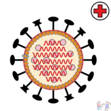 Infos zur Coronavirus-Pandemie